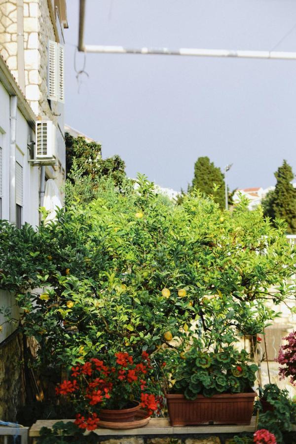 Apartments Fora - Hvar هفار المظهر الخارجي الصورة